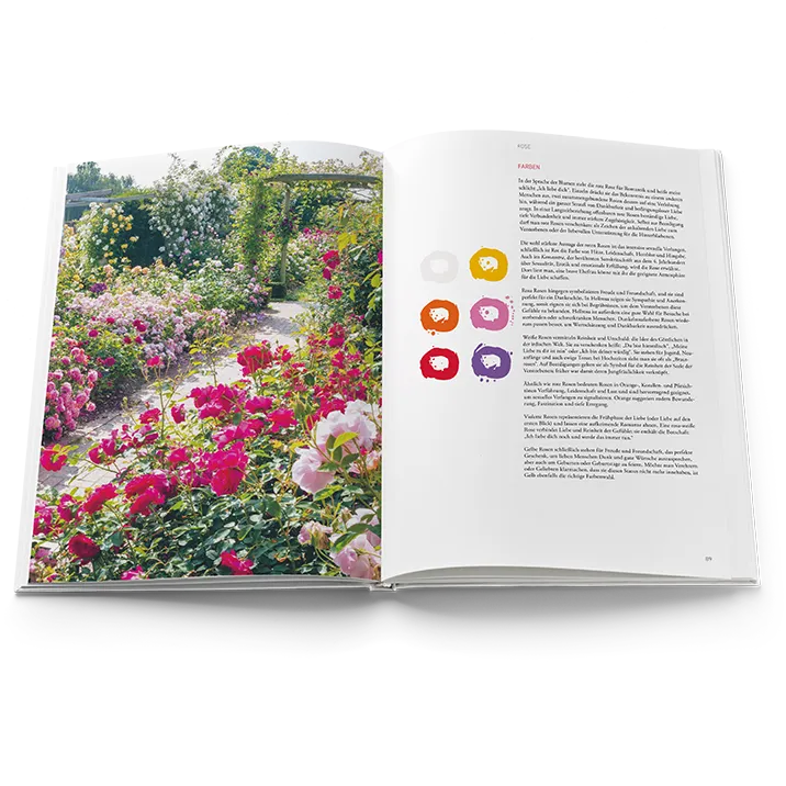 Buch Mit der Sprache der Blumen Innenansicht